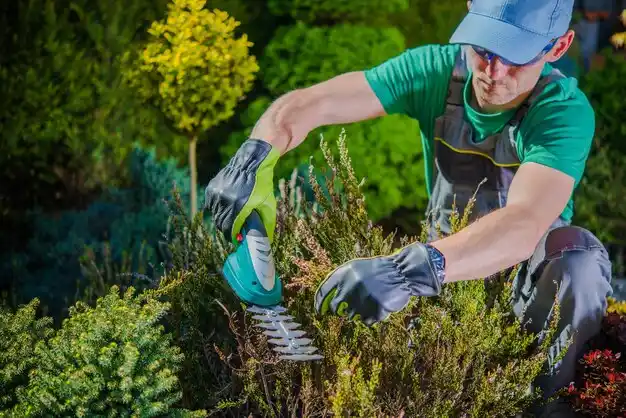 landscaping services Ithaca
